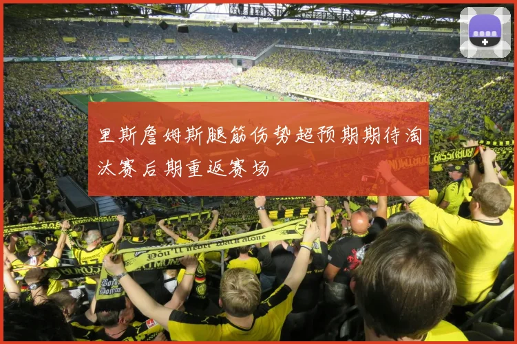 里斯詹姆斯腿筋伤势超预期期待淘汰赛后期重返赛场